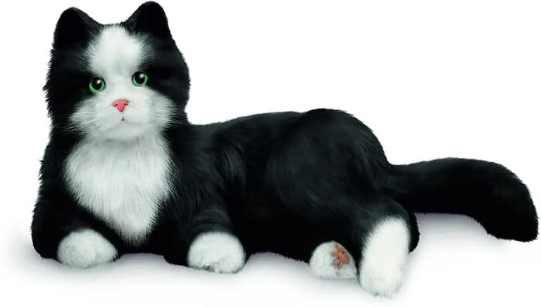 Joy For All Black & White Tuxedo Cat Review