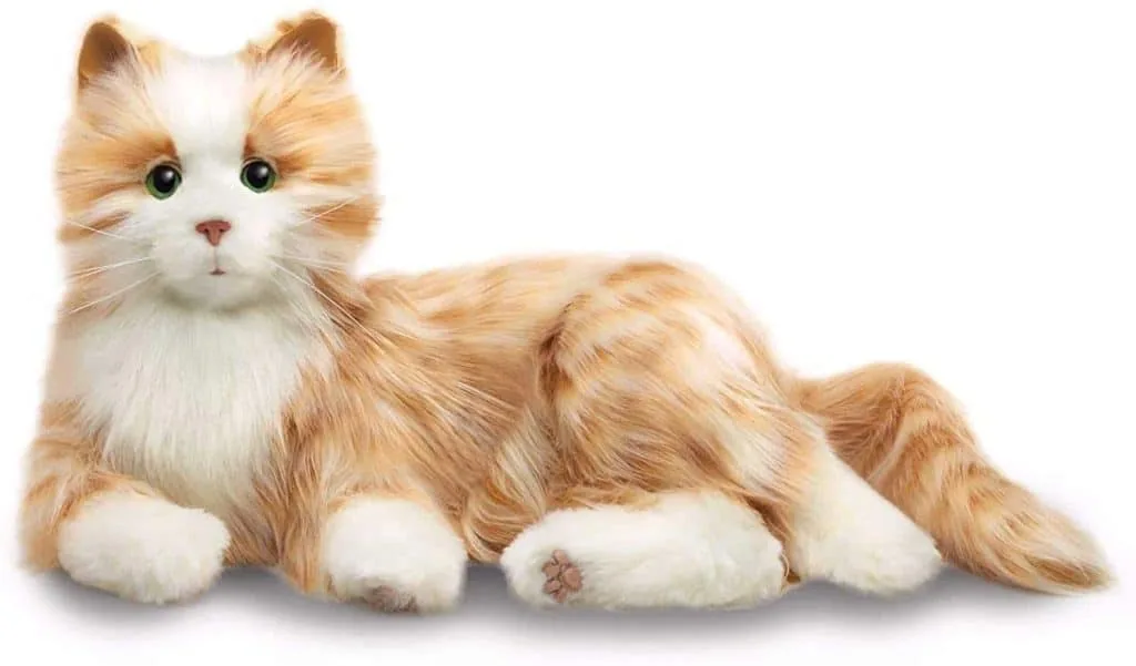 Ageless Innovation Orange Tabby