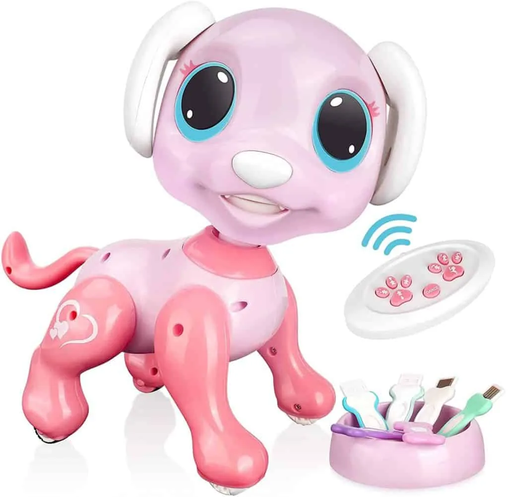 RACPNEL Remote Control Robot Toy