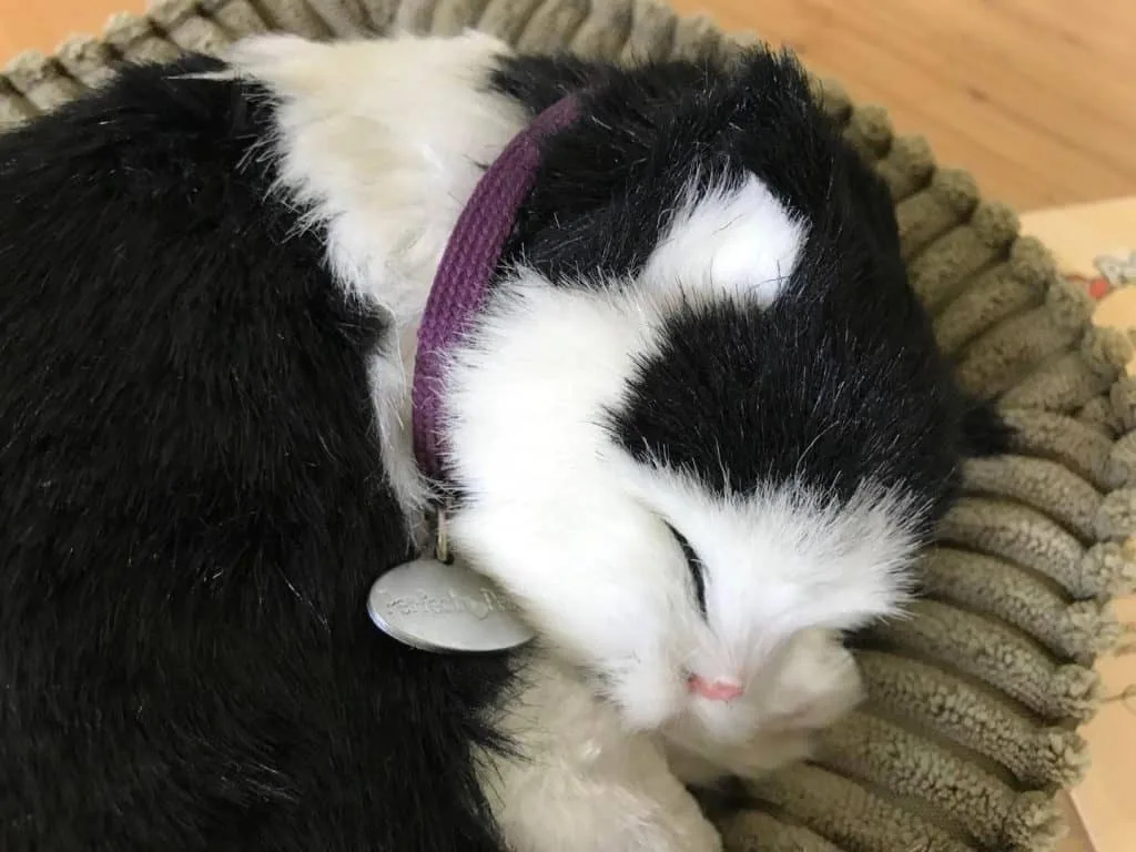Perfect Petzzz Black And White Kitten Plush