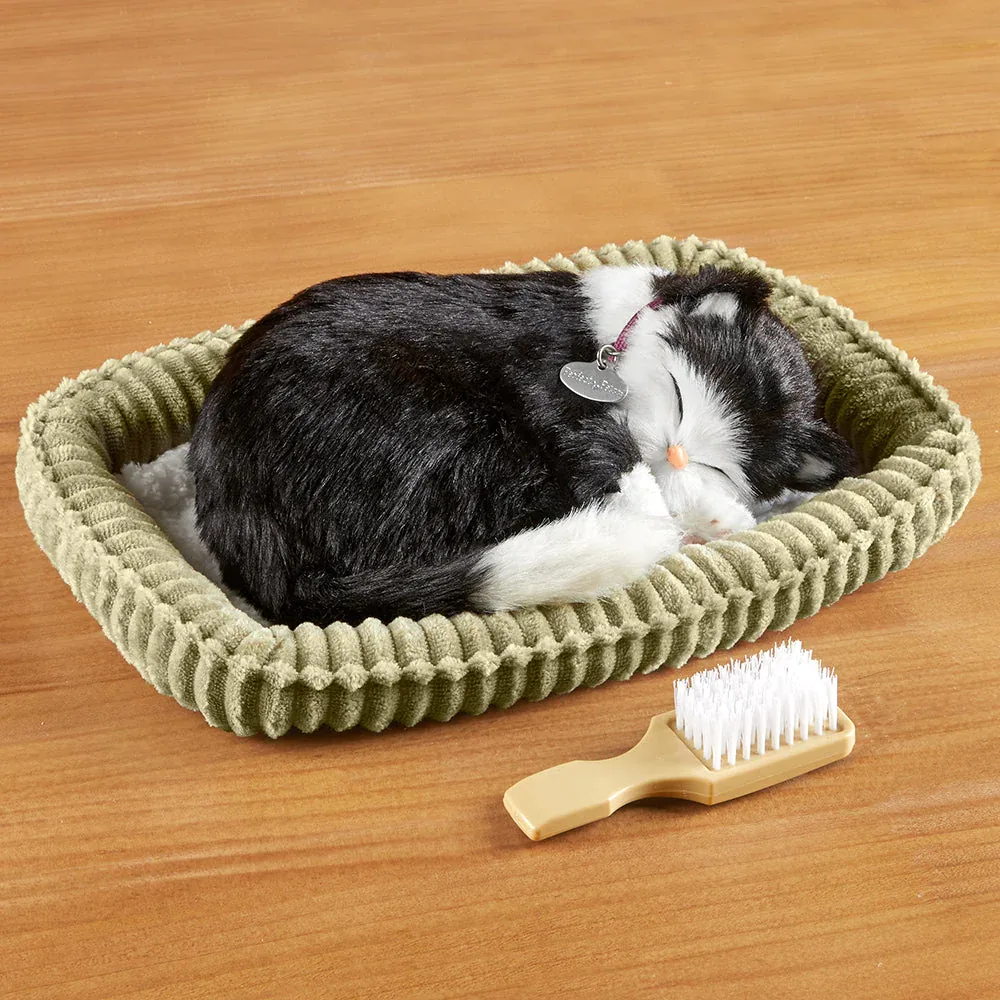 Product Review: Perfect Petzzz Black And White Kitten Plush Review