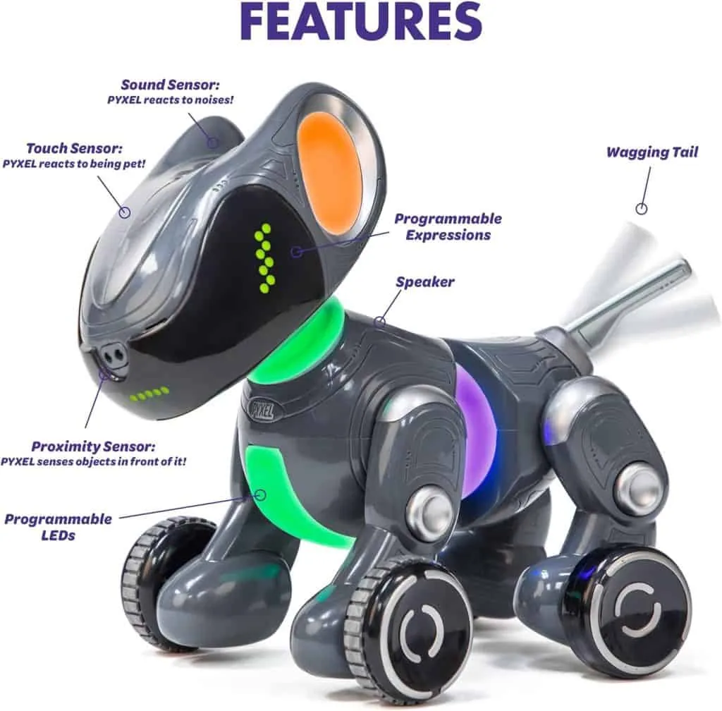 Educational Insights Pyxer A Coder’s Best Friend Review