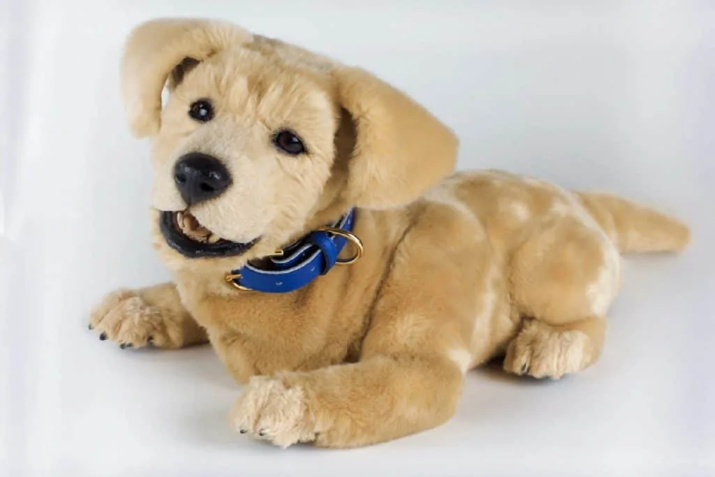 5 of the Most Realistic Robot Pets Mimicking Real Animals