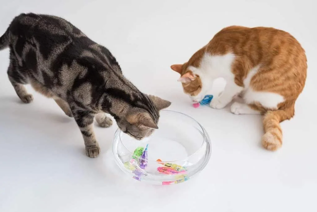Indoor Cat Interactive Swimming Fish Toy