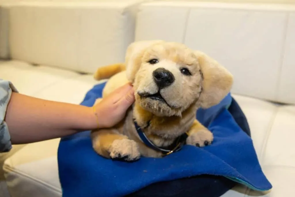 7 User-Friendly Robot Pets for Seniors