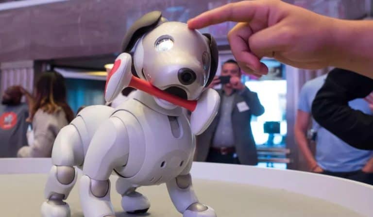 Why Do People Buy Robot Pets?