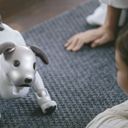 Does a Child With Autism Qualify for Therapy Robot Pets?