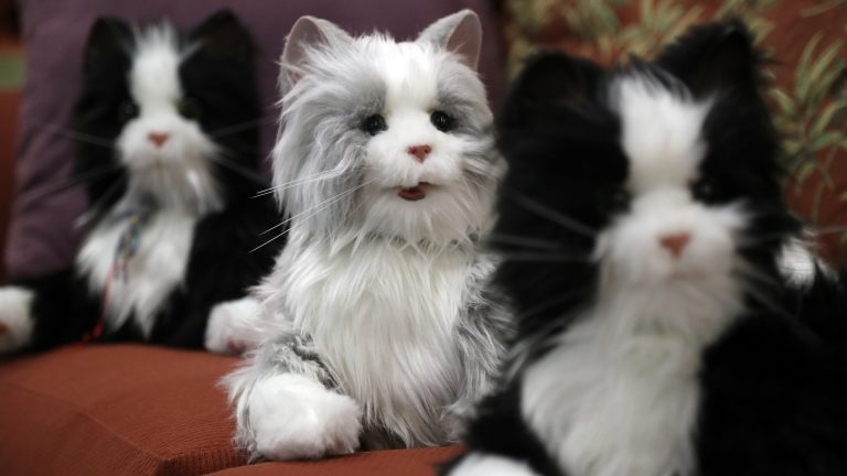 Best Robot Pets for Alzheimer’s