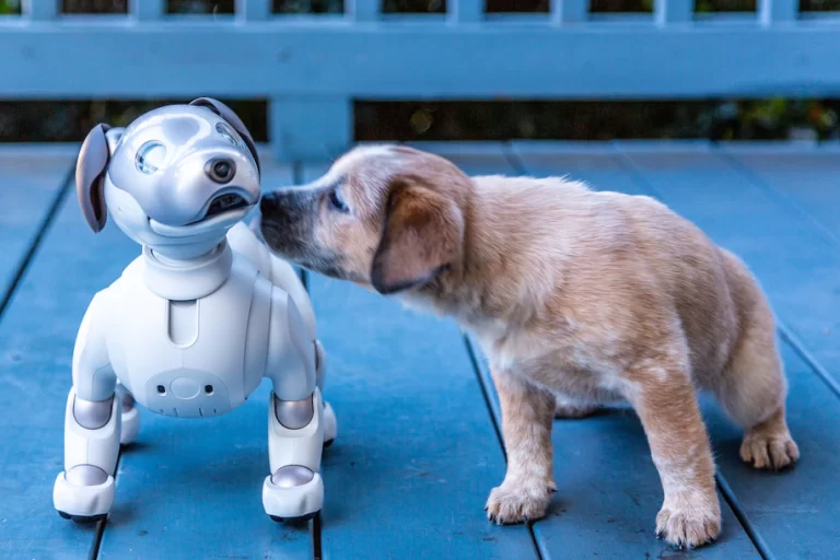 Which is More Expensive: A Robot Dog or a Regular Dog?