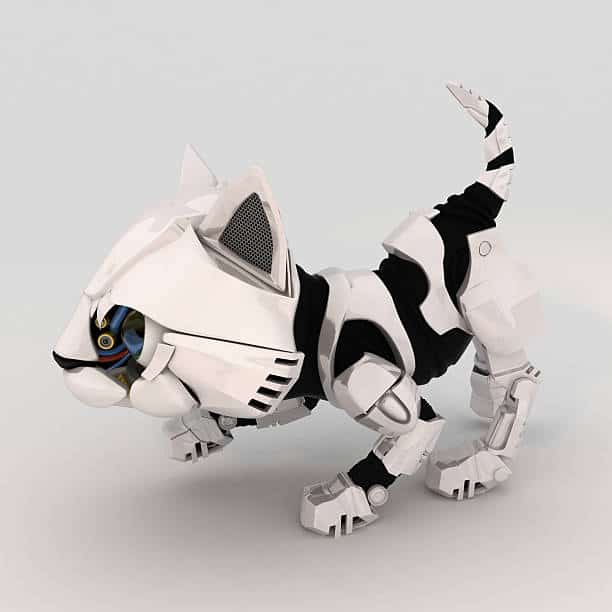 How Realistic are Robot Cats? Robot Pet Friends