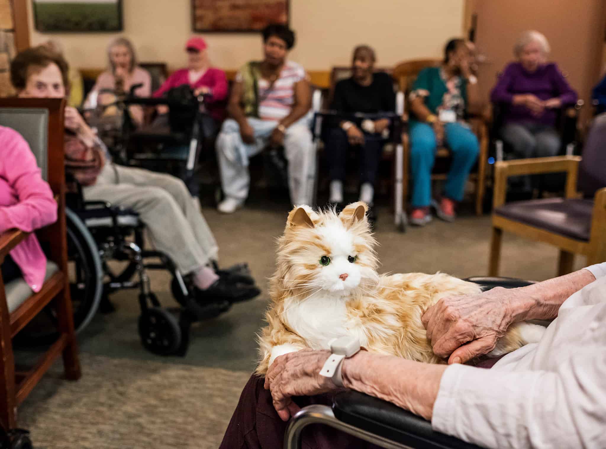3 Uses of Robot Cats in Nursing Homes
