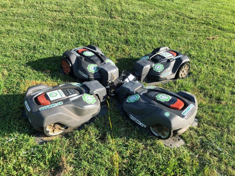 Robots are Being Used for Lawn Maintenance in Tuscaloosa Parks
