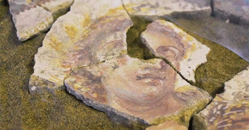 Robots are Joining The RePAIR Project to Help Piece Together 79AD Old Fresco Puzzles of Pompeii