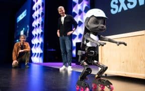 Painter Agnieszka Pilat's Trained Robot Dogs to Join the 2023 NGV Artist Lineup