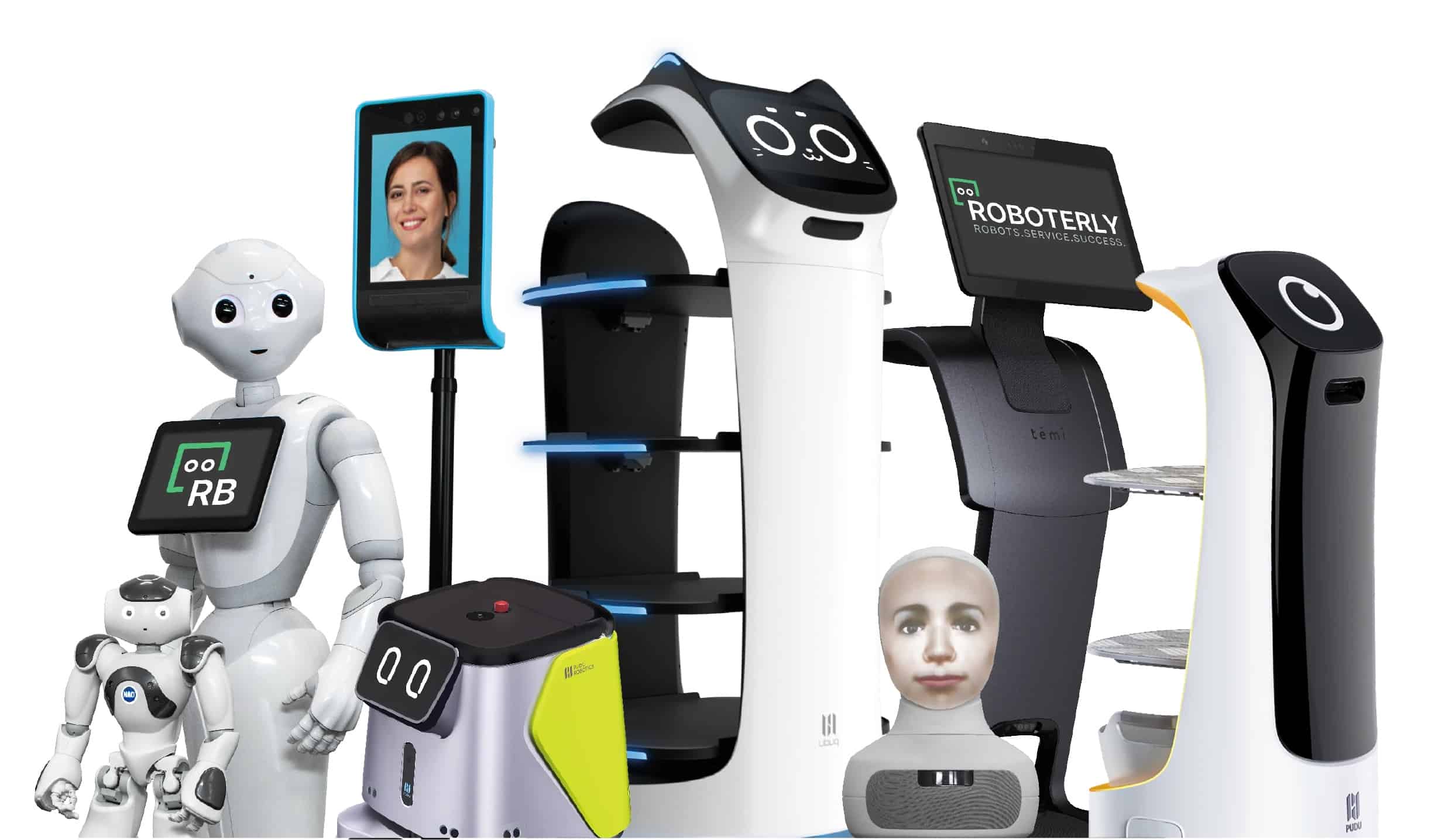 How are Service Robots Different From Social Robots?