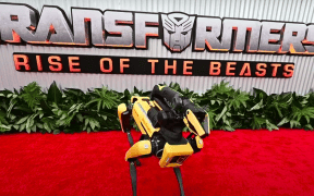 Spot the Robot Dog Dances on the Red Carpet for the 'Transformers' Premiere