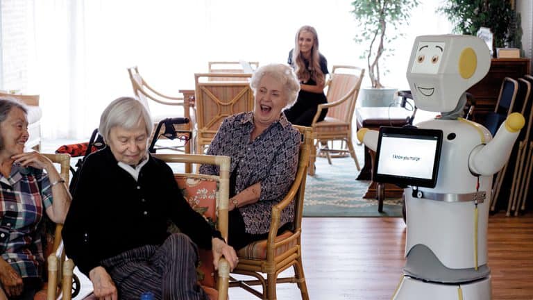 Are There Service Robots For the Elderly?