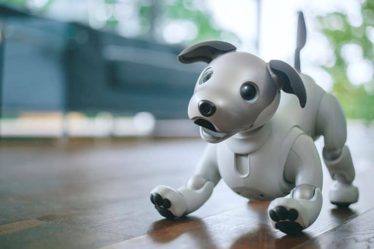 A Complete Timeline of Robot Pet Development