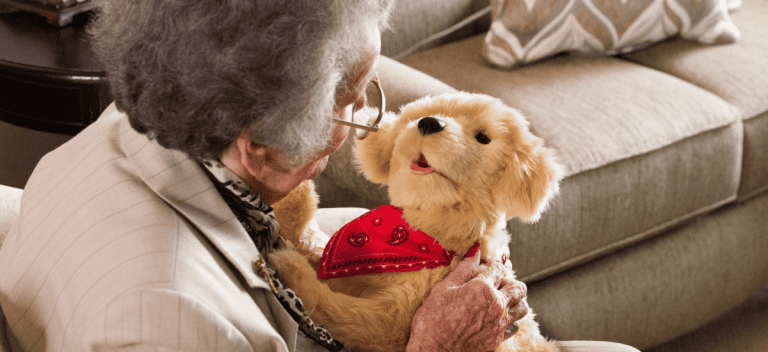 Therapeutic Uses of Robot Pets in Healthcare