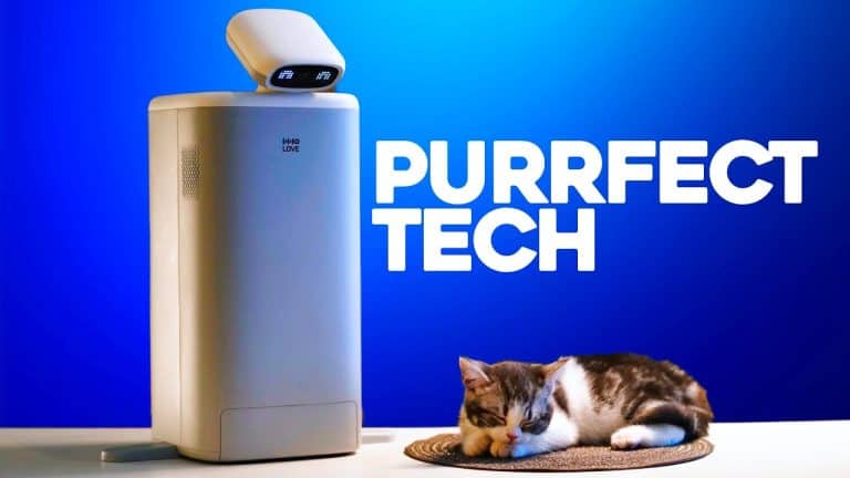 HHOLOVE Introduces O Sitter, the Intelligent Cat Companion Robot, to a Worldwide Audience