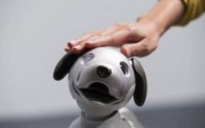 How Durable are Robot Pets?