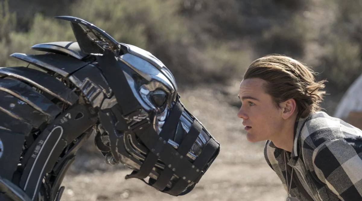 Exploring the Representation of Robot Pets in Popular Culture