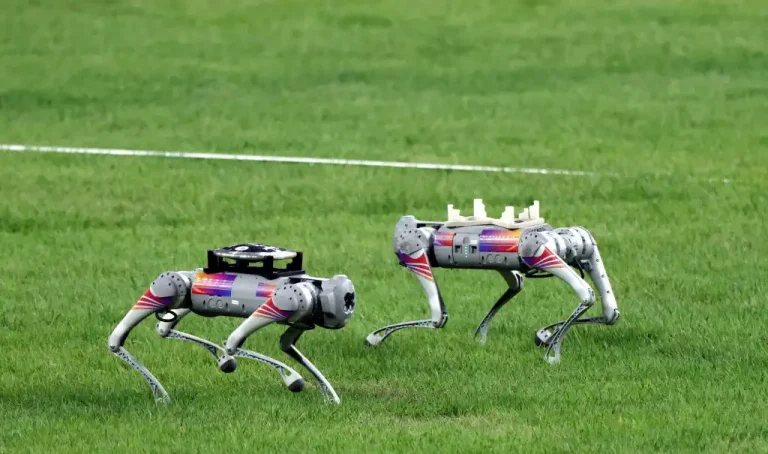 A Leap of Innovation with Robot Dogs at the Hangzhou Asian Games