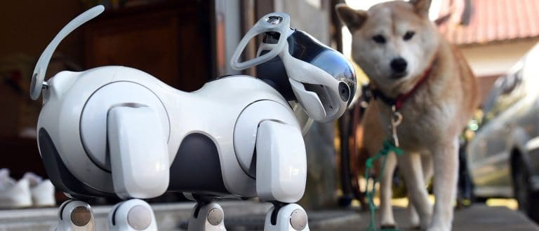 Future Trends and Predictions for Robot Pets: What’s Next?