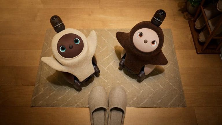 Explaining Haptic Feedback and Sensory Interactions in Robot Pets