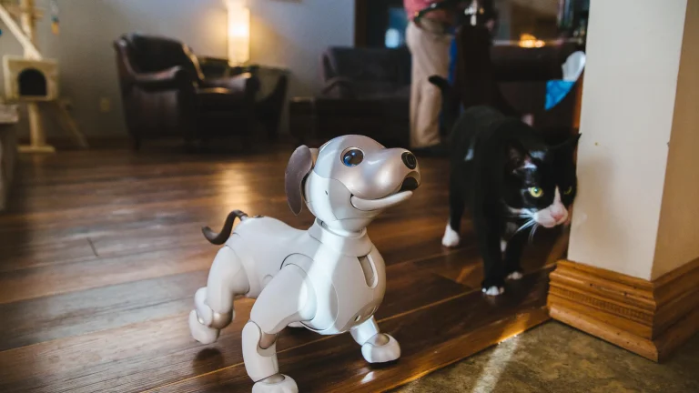 The Economics of Robot Pets: Analyzing Market, Growth, and Future Potential