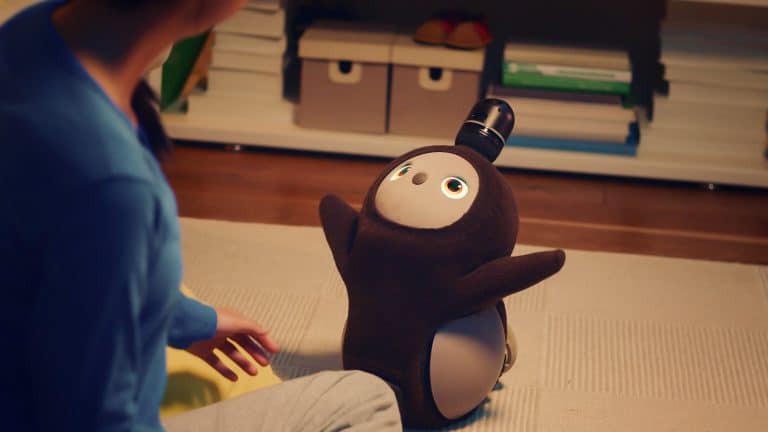 The Environmental Impact of Robot Pets