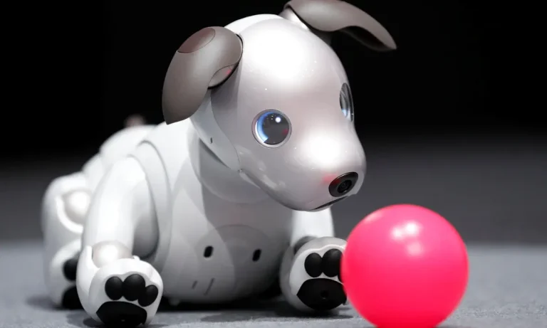 Robot Pets: A Companion for Individuals with Allergies