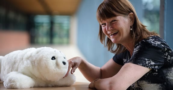 Exploring Interactivity Levels and Cognitive Engagement with Robot Pets