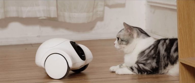 GULIGULI’s Pet Companion Robot is Designed to Keep Your Pets Company While You’re Away
