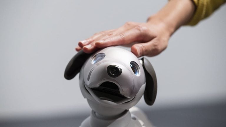 Exploring Robot Pet Consumer Trends and Popularity Over Time