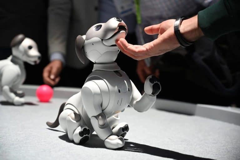 Cultural Impact of Robot Pets Through the Decades