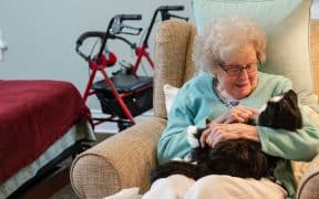 The Therapeutic Role of Robot Pets in Mental Health