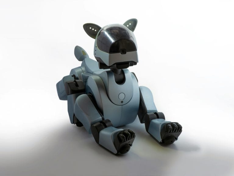 Historical Challenges and Breakthroughs in Robot Pet Design