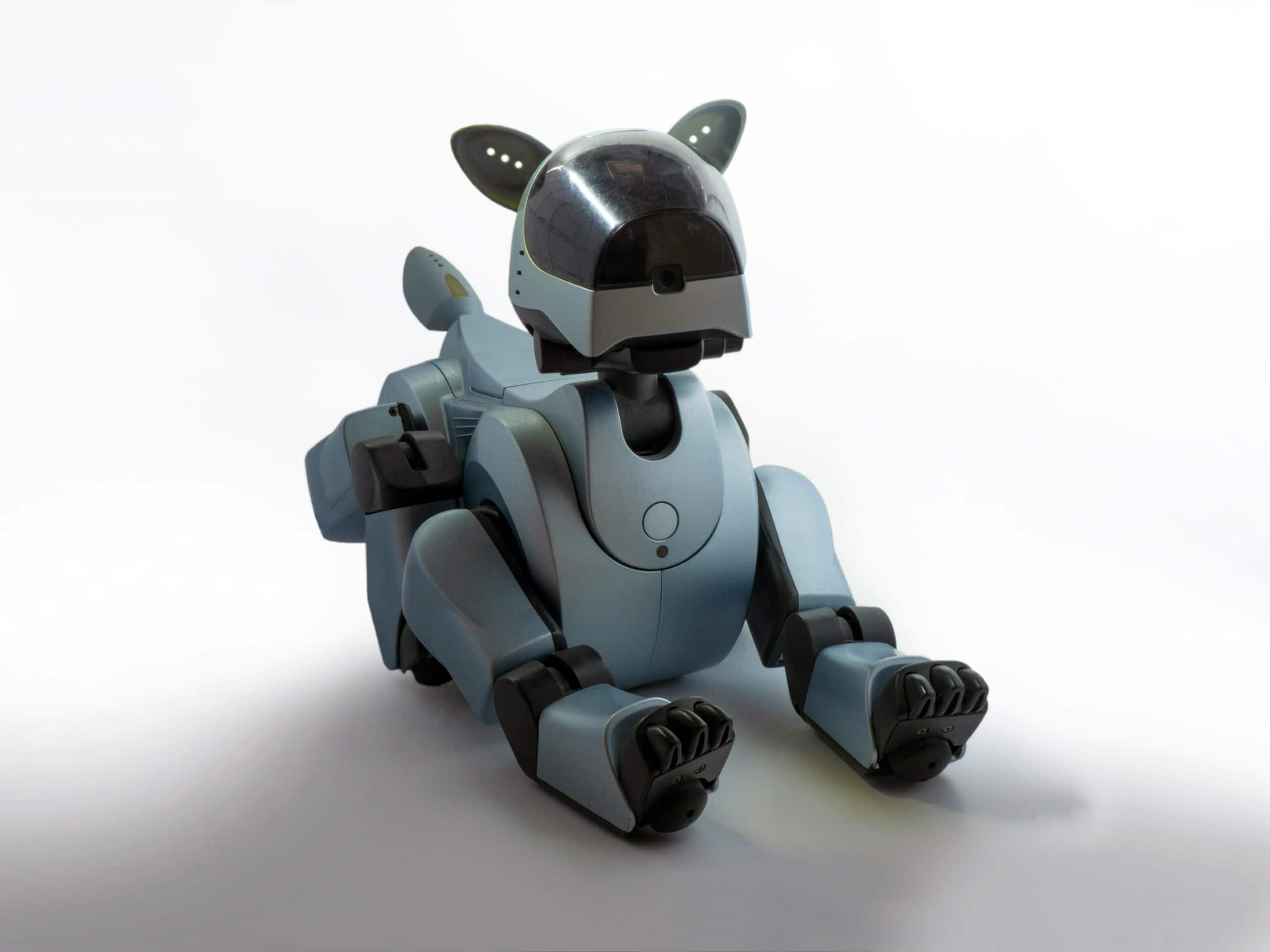 Historical Challenges and Breakthroughs in Robot Pet Design