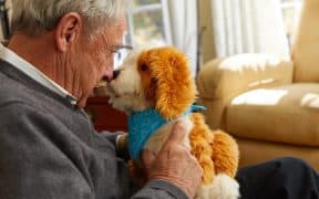 Connecting the Attachment Theory to Robot Pet Relationships