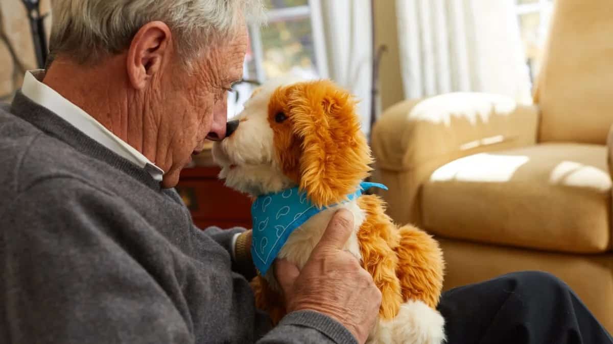 Connecting the Attachment Theory to Robot Pet Relationships