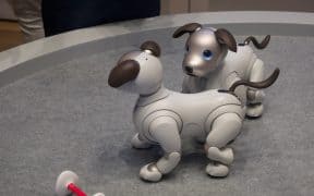 The Role of Toy Fairs in Introducing New Robot Pets