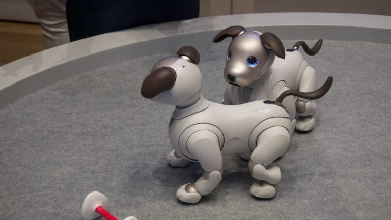 The Role of Toy Fairs in Introducing New Robot Pets