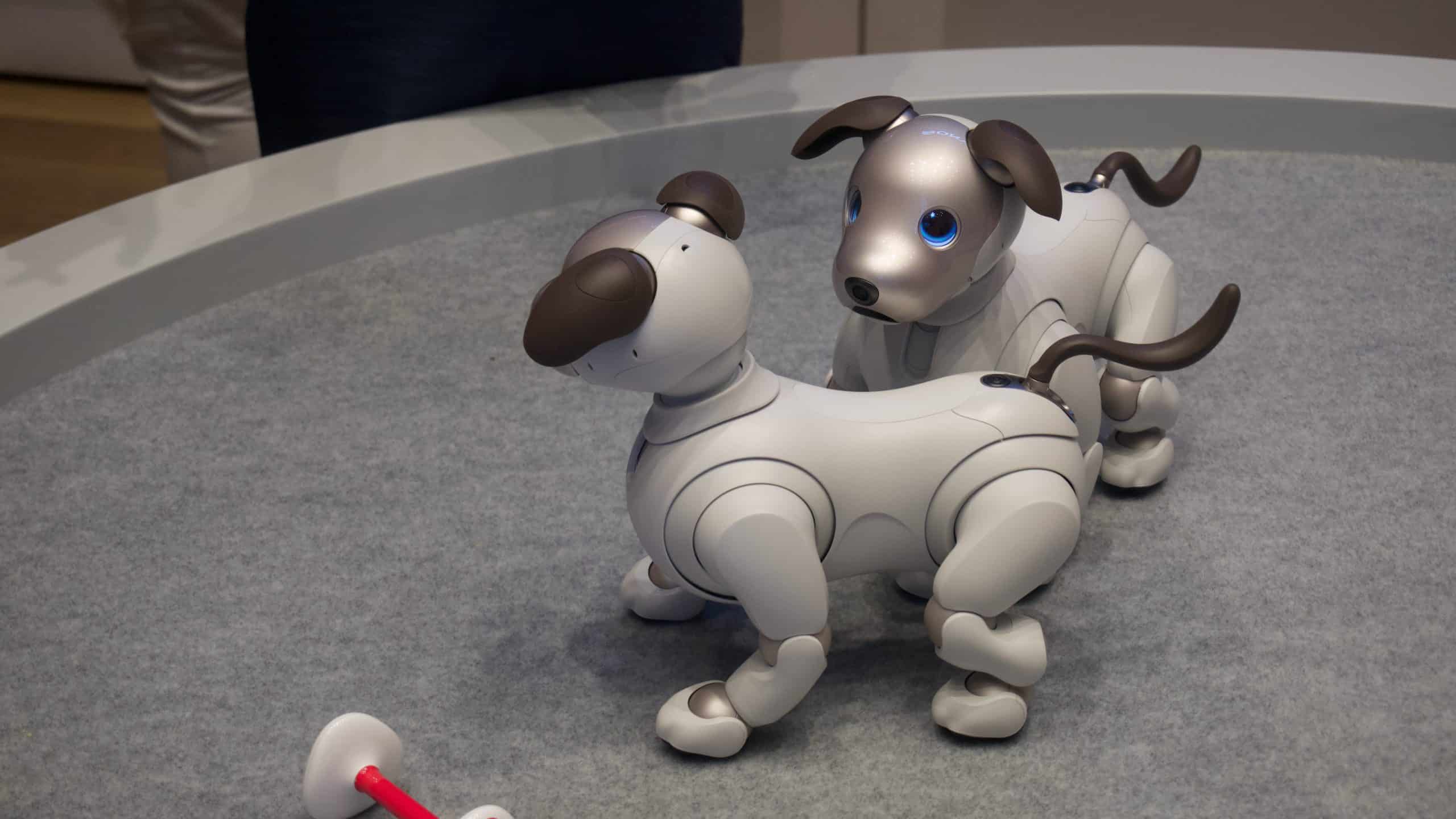 The Role of Toy Fairs in Introducing New Robot Pets