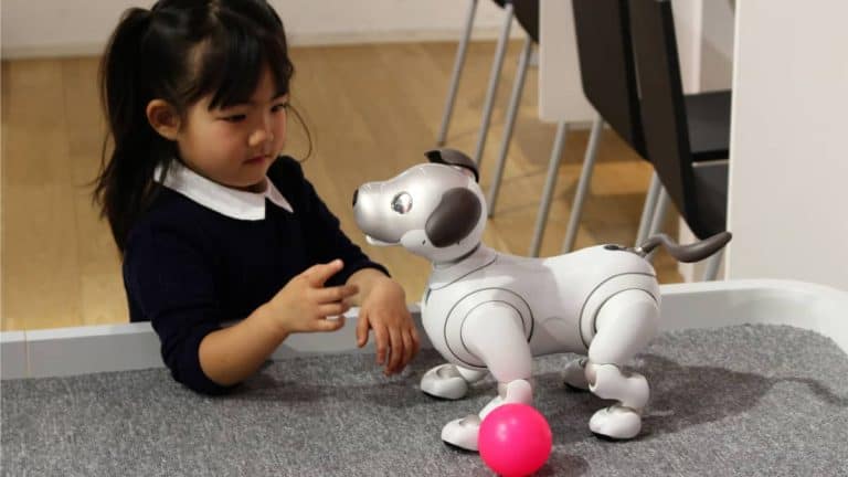 Child Development and Robot Pet Interactions: Benefits and Concerns