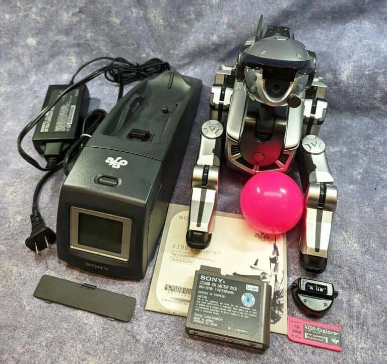 Longest-Lasting Batteries for Robotic Animals