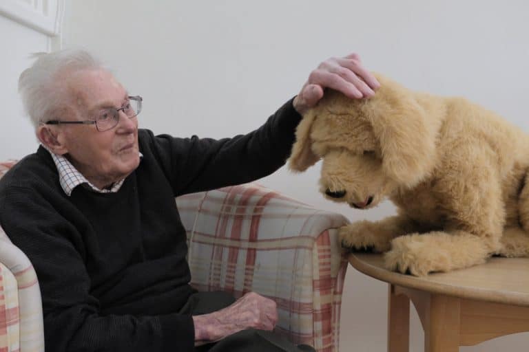 How Robot Pets Aid Mental Health Patients