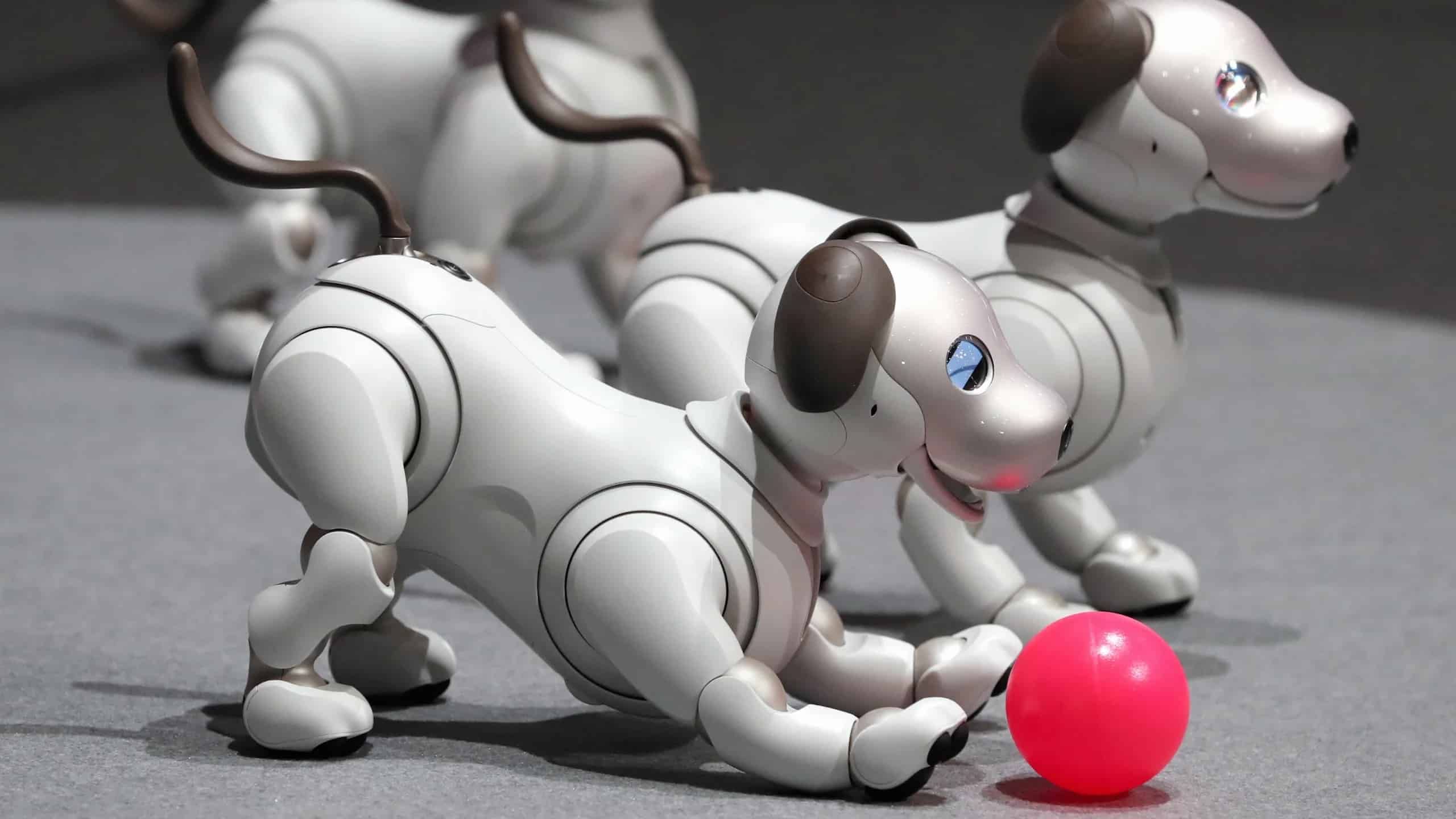 4 Eco-friendly Battery Choices for Robot Pets