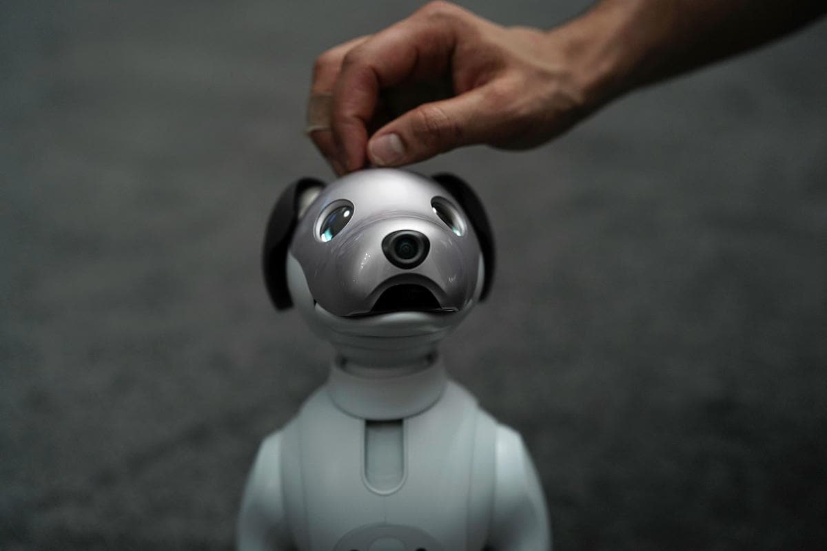 A Guide to Replacing Robot Pet Batteries