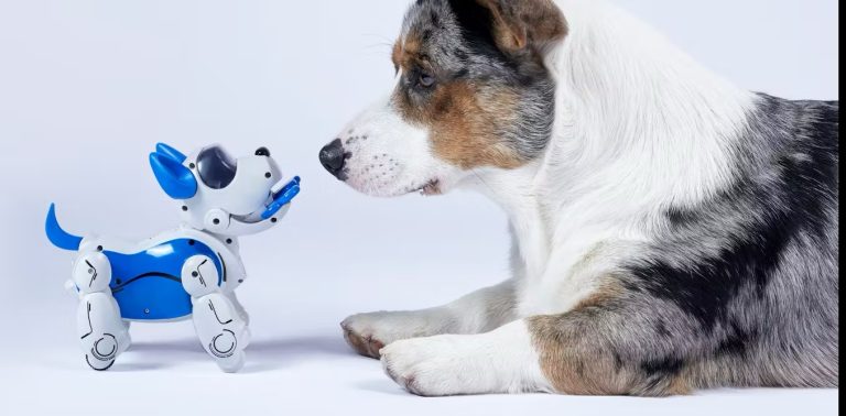Animal Welfare: Reducing Neglect with Robot Pet Adoption?